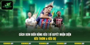 Cách xem biến động kèo