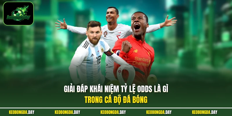 Giải đáp khái niệm tỷ lệ Odds là gì trong cá độ đá bóng