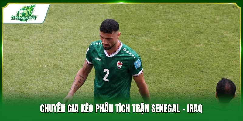 Chuyên gia kèo phân tích trận Senegal - Iraq