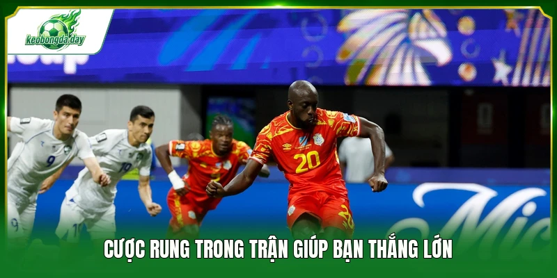 Cược rung trong trận giúp bạn thắng lớn