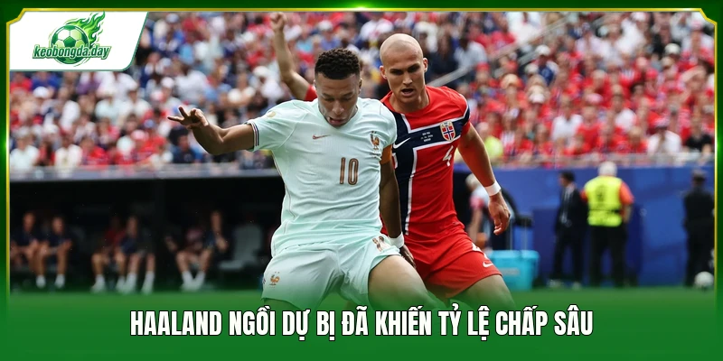 Haaland ngồi dự bị đã khiến tỷ lệ chấp sâu