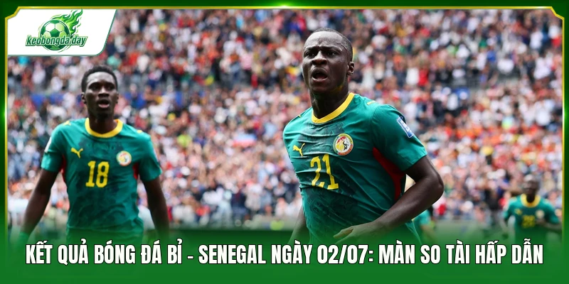 Kết quả bóng đá Bỉ - Senegal ngày 02/07