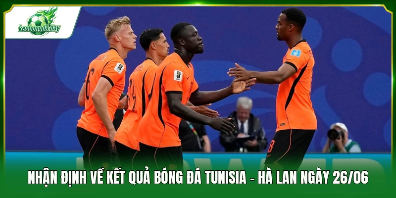 Nhận định về kết quả bóng đá Tunisia - Hà Lan ngày 26/06