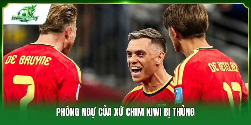 Phòng ngự của xứ chim Kiwi bị thủng